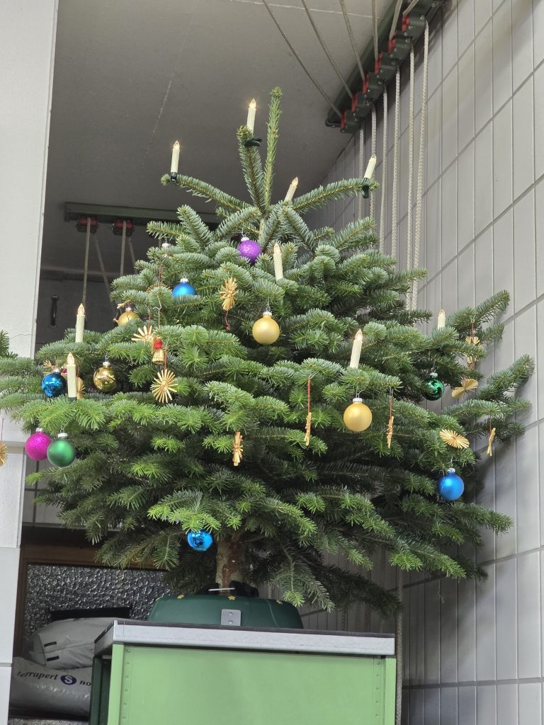 Weihnachtsfeier 2025, Bild 28
